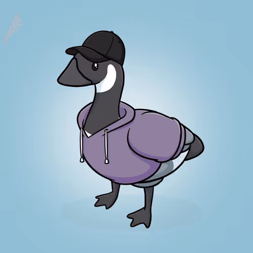 Honk #848