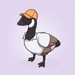 Honk #5003