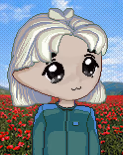 Item Media