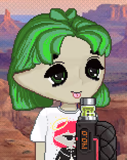 Item Media