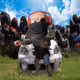 234