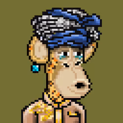 The Bored Pixel Ape Saudis #1371