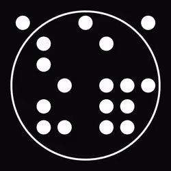 304