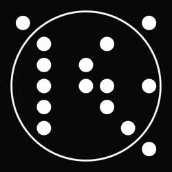 41