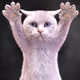 167