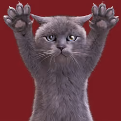 I'm A Kitty Cat #66
