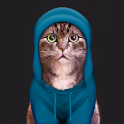 I'm A Kitty Cat #168