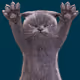 173