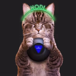 131