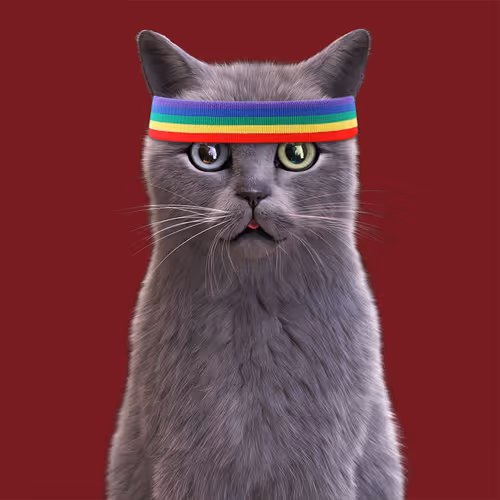 I'm A Kitty Cat #50
