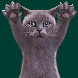 119