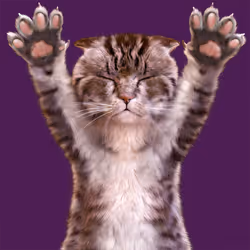 155