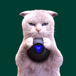 146
