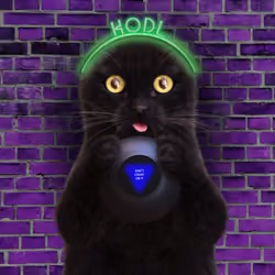 I'm A Kitty Cat #65
