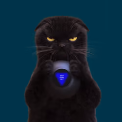 I'm A Kitty Cat #95