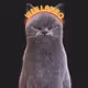 111
