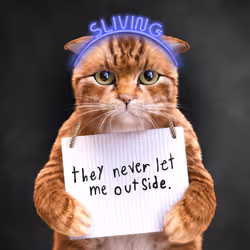 101