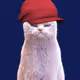 160