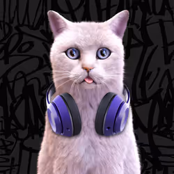 67
