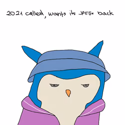 🎨 jpeg 1738