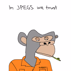 🎨 jpeg 2723