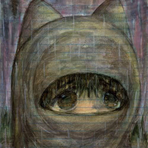 cat niqab