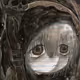 884