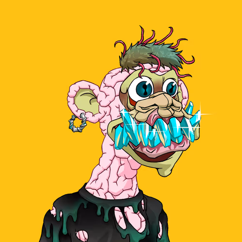 0xmayc V2