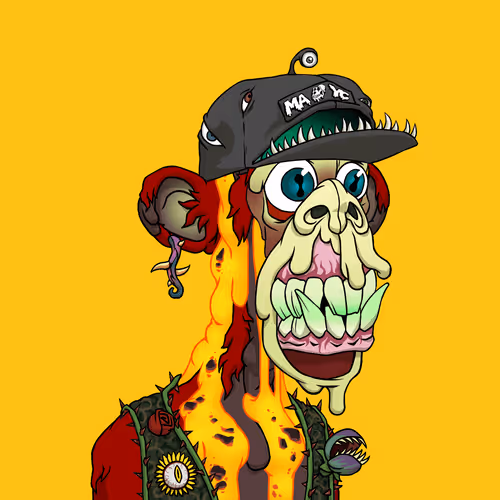 0xmayc V2