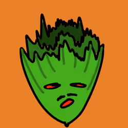 Head of Lettuce #768