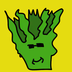 Head of Lettuce #159