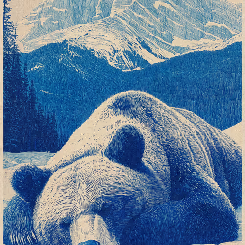 Samanta Bidders Editions