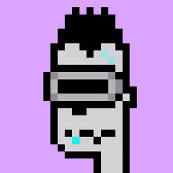 WTPhunks #4249
