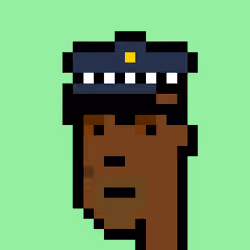 WTPhunks #1307
