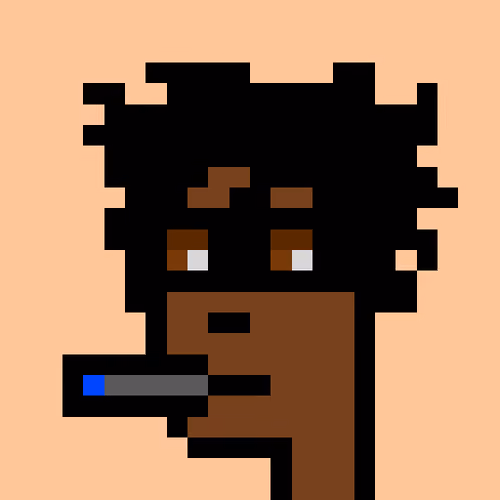 WTPhunks #1691