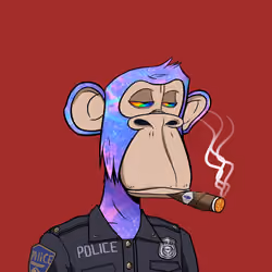 MACC - Maxi Ape Country Club #2328