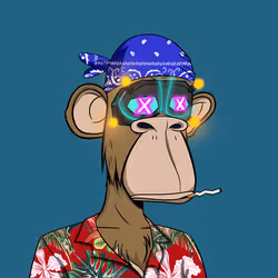 MACC - Maxi Ape Country Club #1538