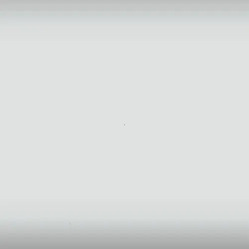 Project: Z - NFT