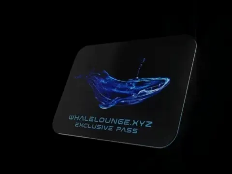 Whaleloungefounder