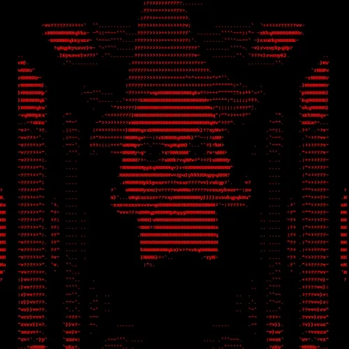 AAA SKULL #47