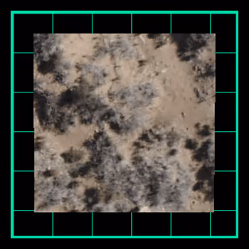 Citydao Parcel 0