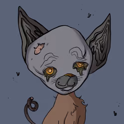  #6460