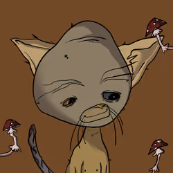  #564