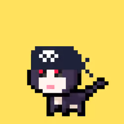 Pew Cat #217