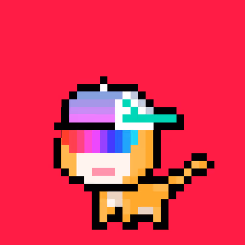 Pew Cat #364