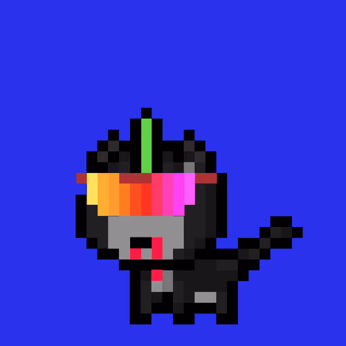 Pew Cat #334