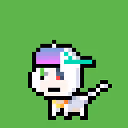 Pew Cat #182