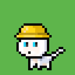 Pew Cat #216