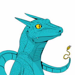 Lizard #2692