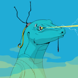 Lizard #971